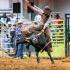 Benton County Rodeo
